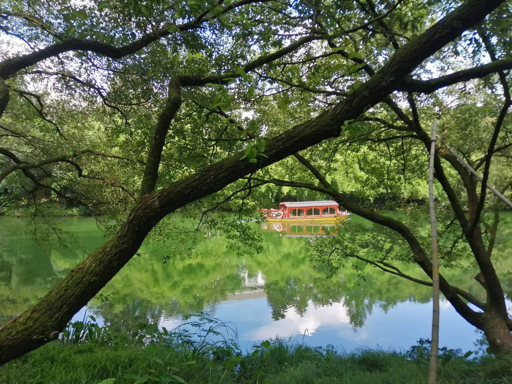 個人所得稅正確申報，避免對申報戶籍的員工造成影響